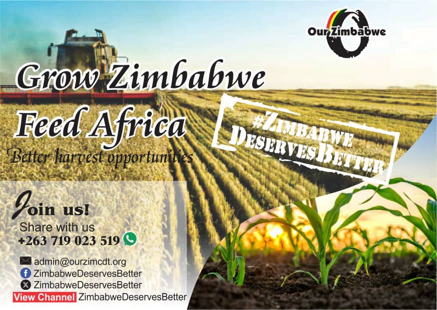Grow Zimbabwe, Feed Africa